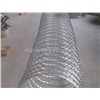 Razor Barbed Wire/Concertina Coil Wire