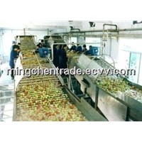 Apple Juice Production Line
