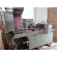 DFX450-S Group Drinking Straw Packing Machine