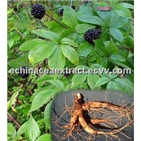 Siberian Ginseng Extract