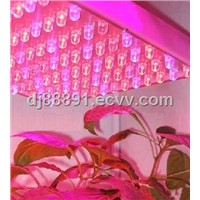 12W LED Factory Sale Plant Growth Lamp