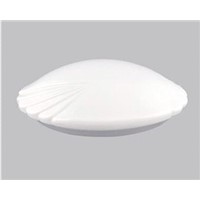 17W  Ceiling Mounted Lamp