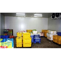 Cold Storage Room For Vegetables, Fruit And Meat