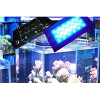 Factory offer 120W  led aquarium light dimmable 55*3w for reef,fish tank white and blue