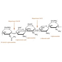 Heparinase III