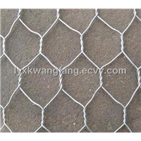 Hexagonal Wire Mesh/PVC Coated Hexagonal Wire Mesh