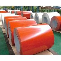 PPGI STEEL SHEET IN COIL