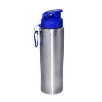 Stainless steel water bottle (BS-7512)