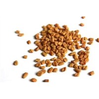 Fenugreek oil