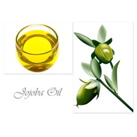 Jojoba oil