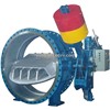 Butterfly Valve for Turbine Main Inlet