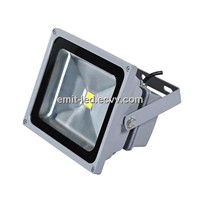 LED Flood Light 30w Bridgelux