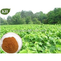 Mulberry leaf extract 1-DNJ  1% to 30% by HPLC, CAS:19130-96-2