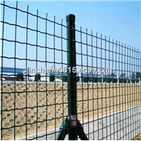 PVC Coated Welded Euro Fence (Mesh Size: 50X75mm)