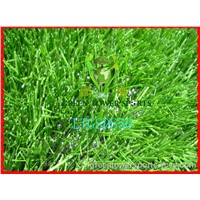 Artificial Grass - Artificial Turf