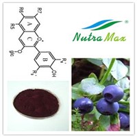 Bilberry Extract 25% Anthocyanidins