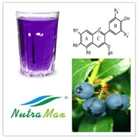 High quality  Blueberry Extract Juice 65 Brix
