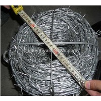 Double Strands Barbed Wire