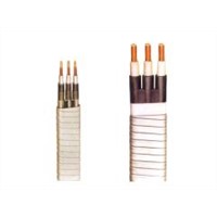 ESP cable for oilfield with CE and API(QYJYFTT)