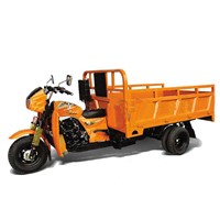 Gas water cooled cargo tricycle