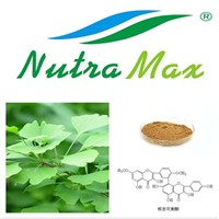 High quality Ginkgo Biloba Extract 24%/6%/<1ppm