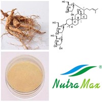 Rhodiola Rosae extract Ginseng Root Extract 80% Ginsenosides