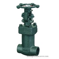 Globe Valve-Cast Steel, Forged Steel, Flanged, Angle Type, Bellow Globe Valve