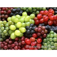 Grape Skin Extract -100% natural pigment Anthocyanin 5%