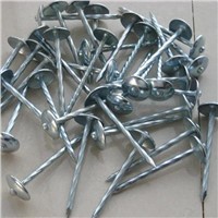 High quality galvanized roofing nail