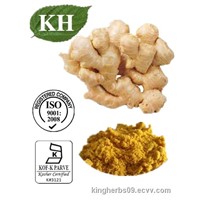 Ginger Extract; Gingerols 5% to 20% Test By HPLC Ginger oleoresin by SCFE-CO2 Ginger oil by SCFE-CO2