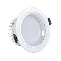 LED Downlight 2.5 Inch 4W (YB-TT001-4)