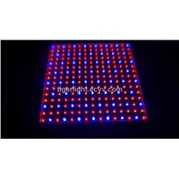 Newest hydroponics lighting 15W 225PCS chips SMD red and blue light LED Grow light for flowering