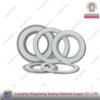 PTFE Spiral Wound Gasket