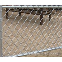 PVC Coated Chain Link Fence (DJ-06)