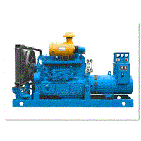 SQS Diesel Generator Set/Shanghai Diesel Engine
