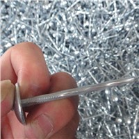 Sell Galvanized Twisted shank roofing nail