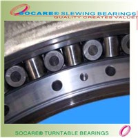 Single-Row Cross Roller Slewing Bearing (06-1790-09)