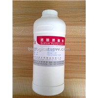 Sodium Hyaluronate(Cosmetic Grade,Food Grade)