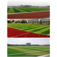 Synthetic Turf for Sports (LTUJDS503)