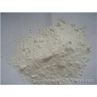 Titanium dioxide (CAS No.13463-67-7)
