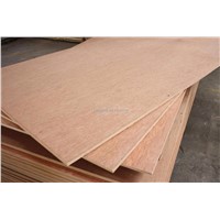 bintangor plywood
