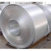 Prime Hot Dipped Galvanized Steel Coi(GI)