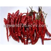 chili papper