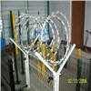 Single Coil Razor Wire/cross Concertina Coil Wire