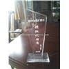 Clear Acrylic Crystal Award Perspex Trophy Medal