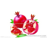Hot-selling Pomegranate Extract ellegic acid 40%(HPLC)