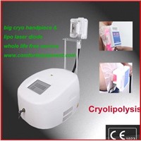 500W Cryolipolysis Machine For Slimming