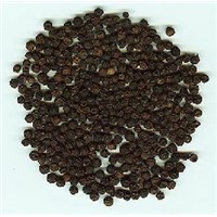 Black Pepper extract 90%-98% Piperine