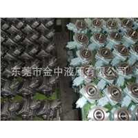 China hydraulic vane pump