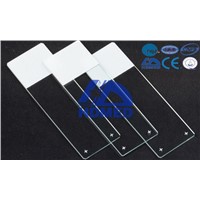 Coated adhesive Positive charged slides